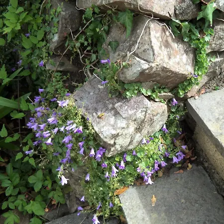 斯特拉顿花园旅馆 布德